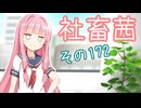 社畜茜その172【ソフトウェアトーク劇場】