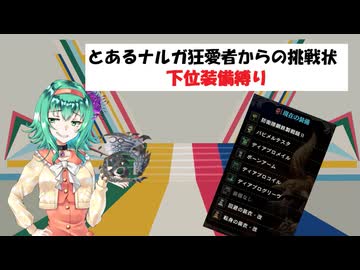 [MHWI]とあるナルガ狂愛者からの挑戦状　下位装備縛り