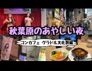 【コンカフェ】秋葉原のあやしい夜・グラドル文化祭編【行ってみた】