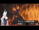 雪さんの調和日和その9（MHWilds）