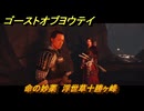 ゴーストオブヨウテイ　命の妙薬　浮世草十勝ヶ峰　＃３９５　【Ghost of Yōtei】