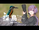 探鳥始めてみました。8～9月写真スライドショー！