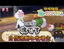 【牧場物語 Let's！風のグランドバザール】#3 初見牧場主ののんびり牧場経営