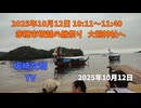 赤穂市坂越の船祭り 大避神社へ　2025年10月12日 10:11～11:40