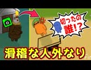 シーフのドクター盗り黙ってたら吊られる人外が相方切られた演技始めてワロタｗｗｗｗｗｗｗ【Feign / ふぇいん】