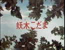 妖怪伝・猫目小僧　第4話　妖木こだま