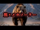 ◆熊被害×メガソーラー推進 ～ 失われた森、現れた熊…メガソーラーが変えた山の姿