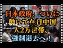 25・10・27  タダ乗り野郎　強制退去　やれば出来る。やらなければ　出来無い。無能政治屋　分ったか。
