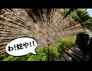 【第372回】ご近所パトロール中に！と、雨のお迎えと、カラフルゴーヤ