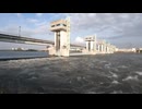 【淀川大堰】水中映像　森野妖精　2027/7/19