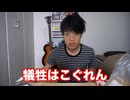 東方怪犠牲
