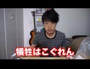 Koguren pilot