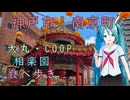 【単発日帰り動画】兵庫県神戸市南京町（with初音ミク）