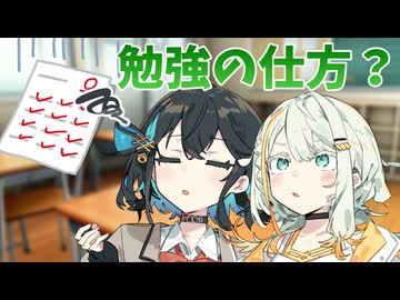 【つのモカの日常】勉強の仕方？【ソフトウェアトーク劇場】