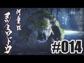 はじめてのモンハンを夜な夜な実況#014