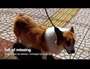 full of missing