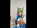 ＪＲ常磐線〔双葉駅・浪江駅・桃内駅〕の鉄道事故・人身事故・電車と人がぶつかる接触事故・列車と車と人の衝突事故・列車死亡事故・踏切や駅のホームで電車にはねられ死亡事故0祈願