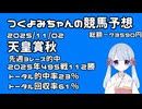 【2025天皇賞秋】つくよみちゃんの競馬予想