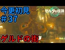 ガノンドロフも、ゲルドの街には入れてもらえないのかな？【ゼルダの伝説 ティアーズ オブ ザ キングダム】Part37