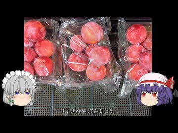 ゆっくり農民271プラムを育ててみませんか？#3