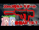 【BF6】最強ARの30マガジンヘッショ増量カスタムで暴れるぜ!!!パート39