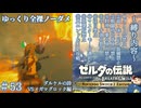 『9種の縛りプレイ＃53』ノーダメージでまさかの相手にリトライ連打を食らう全裸リンク【ゼルダの伝説ブレスオブザワイルドswitch２エディション/ゆっくり実況】