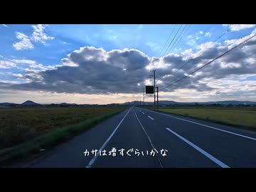 とあるバイクの通勤風景20251029