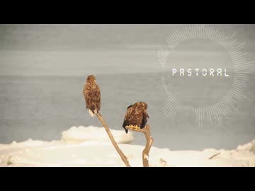 Pastoral
