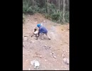 パワー系ドローン