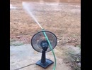 自動水やり
