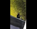 飛びすぎ