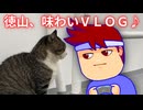 徳山VLOG　グルメ街道大ばく進編。【バーチャルいいゲーマー佳作選】