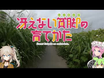 【自転車車載】淀川リバーサイドサイクルライン【VOICEVOX】