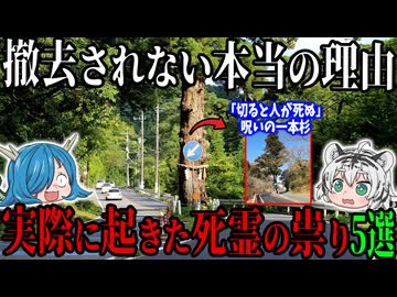 【本当の恐怖】事故が多発する！実際に起きた死霊の祟り5選　