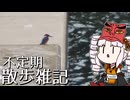 不定期散歩雑記_74 - 9月の探鳥