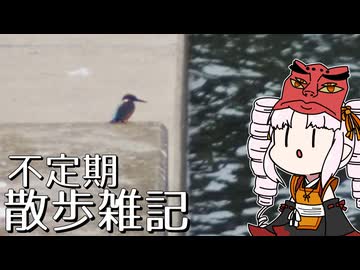 不定期散歩雑記_73 - 9月の探鳥