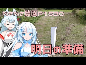 2025年10月31日　農作業日誌P1530　明日は初めてのドールイベントなので準備を加速する