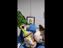 JR男鹿線〔上飯島駅・追分駅・出戸浜駅〕の鉄道事故・人身事故・電車と人がぶつかる接触事故・列車と車と人の衝突事故・列車死亡事故・踏切や駅のホームで電車にはねられ死亡事故0祈願