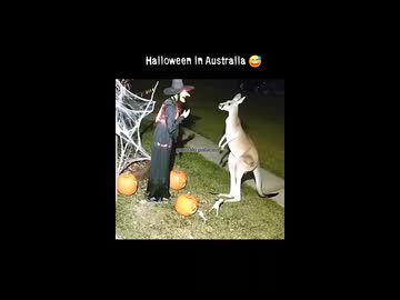 ホモと見るオーストラリアのハロウィン
