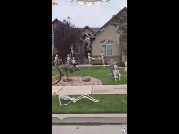 ホモと見るハロウィンの飾りつけ