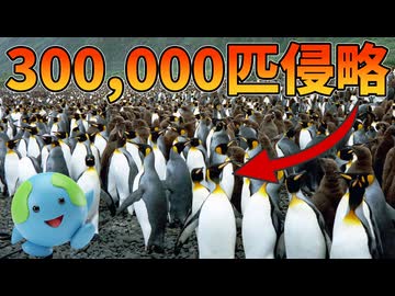 30万匹の外来種に侵略されたペンギン島が迎えた衝撃の結末【解説動画】