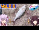 【VOICEROID実況】ゆかきり釣行録 vol.２０【ゆかきり】