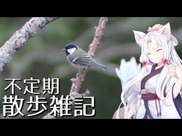 不定期散歩雑記_74 - 公園探鳥