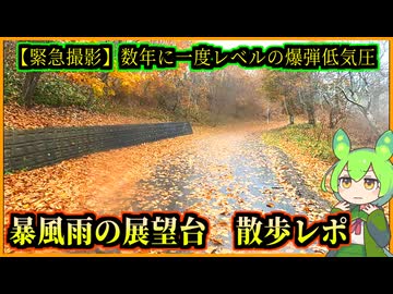 【緊急撮影・数年に一度レベルの爆弾低気圧】暴風雨となった道東の展望台を歩く【釧路のずんだもん】