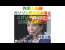 高市政権「外国人規制･ガソリン暫定税率廃止･メガソーラー中止･SDGs終わり」2025年11月1日□□□□