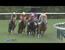 サトノヴァンクル　2歳新馬