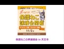 保護ねこの家譲渡会 in 天王寺