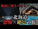 【絶景と現実】北海道ドライブで遭遇した「ゾッとする」出来事｜洞爺湖・積丹半島・星野リゾートトマム