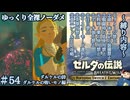 『9種の縛りプレイ＃54』ノーダメージで意外と楽勝かと思ったら全然そんなことなかった全裸リンク【ゼルダの伝説ブレスオブザワイルドswitch２エディション/ゆっくり実況】