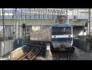 【2025年度分】伊予鉄道7000系電車7303編成7304編成甲種輸送(20251101)【登場】